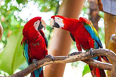 Epic喜加一：《胡闹搬家》免费领取